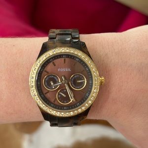 Tortoise Fossil Watch